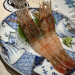 和膳と酒肴 廚 - ボタンエビの刺身