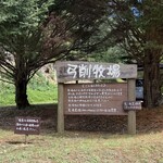 チーズハウス ヤルゴイ - 