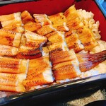 宮島ＳＡ(下り線) レストラン 磯もみじ - 穴子重　¥1750