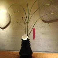 日本料理 幸庵 - 