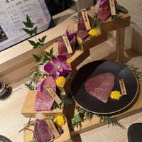 焼肉割烹 YP流 宗右衛門町本店 - 