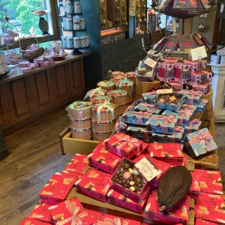 エンジェル ライブラリー_2