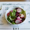 レストラン 竜神亭 - 料理写真:Aコース、サラダ