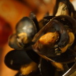 バール エ ターヴォラ カルダ ラ・ジョストラ - ムール貝の白ワイン蒸し