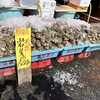 魚売場　森田水産 那珂湊魚市場前