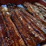 丸忠うなぎ - 鰻