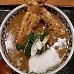 熟成うどん なかや - ちく天熟玉カレーうどん3辛＠熟成うどんなかや（2013年3月26日）