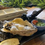 魚河岸酒場　駅前　浜けん - 