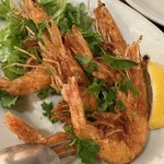 ラッコ アメーノ - 