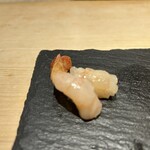 鮨 和こう - ボタン海老