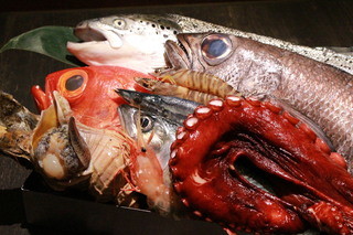 Shokuraku Chuubou Ishindenshin - 鮮魚は、毎朝店主自ら市場へ仕入にいきます。旬のもの・珍しいものなど 『本日のおすすめ品』 で提供します。