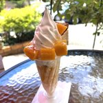 ル・パティシエ ヨコヤマ - 宮古島マンゴーソフトのマンゴー～グラニテ添え～！