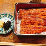 御料理 ふじ田 - うな重