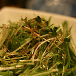 さっぱりサラダ