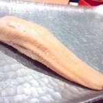 お料理 ふじ原 - 握り：煮穴子