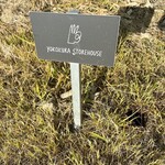 ヨコクラストアハウス - 