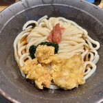 山下本気うどん - 梅と青のりの鶏天ぶっかけうどん