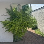 ル ジャルダン - 