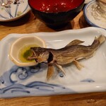 夜ノ焼魚 ちょーちょむすび - 