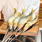 礒田 - 飛騨の高原川の若鮎です