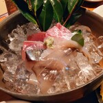 魚料理 ろっこん - 令和7年7月 ランチタイム(11:30〜14:00)
お造り御膳 税込1300円
メイン料理のお造り、天ぷら小鉢、豆腐、ご飯、みそ汁、漬けもの