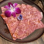 京都焼肉 tendan+ GEMS大門店 - 