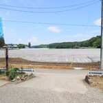 本田 - 店舗前はこの田園風景