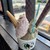 小田原牧場アイス工房 - 料理写真: