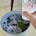 らかん高原スカイパーク - 