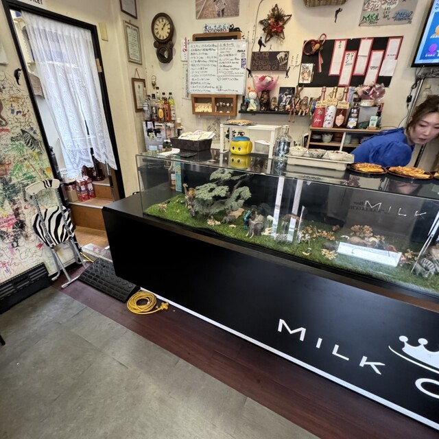 Tachinomi ZOO photo 4