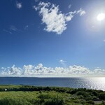 ハリーズ シュリンプ トラック - 