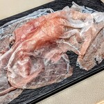 スガラボヴィー - 