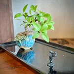 久霧 - 小品盆栽と添配。私は、自称盆栽派だから、短時間なりに細部までしっかり拝見しているよ。