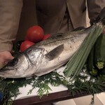 スガラボヴィー - 