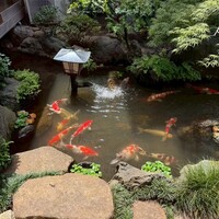 そば会席 立会川 吉田家 - 