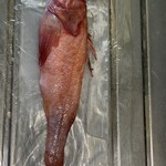 ヒモノ食堂 四日市本店 - 