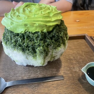 せんねんの木_1