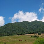 蒜山酪農農協ひるぜんジャージーランド  - 