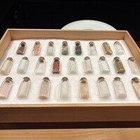 シブ ニシナカス - 