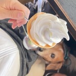 ふれあい食堂 ハイジのキッチン - 