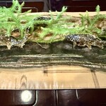 比良山荘 - 琵琶湖の天然鮎