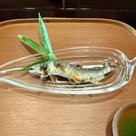 比良山荘 - 川をもう一尾