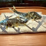 比良山荘 - 四尾目と五尾目