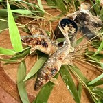 比良山荘 - 琵琶湖の天然鮎