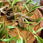 比良山荘 - 琵琶湖の天然鮎