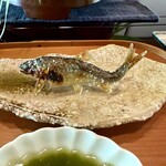 比良山荘 - 二尾目