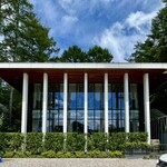 중국반점 레이쇼우