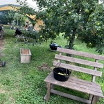 マルカメ果樹園 - 