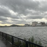 アマルフィイ マリナブルー - 