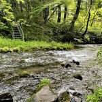 Maruyama Coffee Harunireterasuten